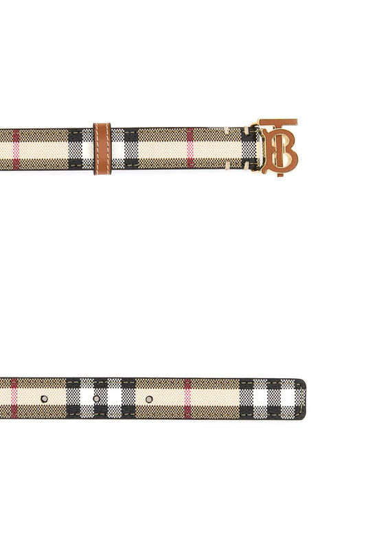 ALB_TB_BELT_20_INLAY_DFC143231A9534_8070409_A9534_Image_2