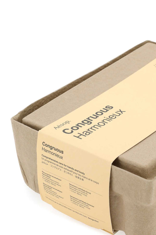 GIFT_KIT_2022_-_ELABORATE_BODY_CONGRUOUS_APB300_000_Image_2