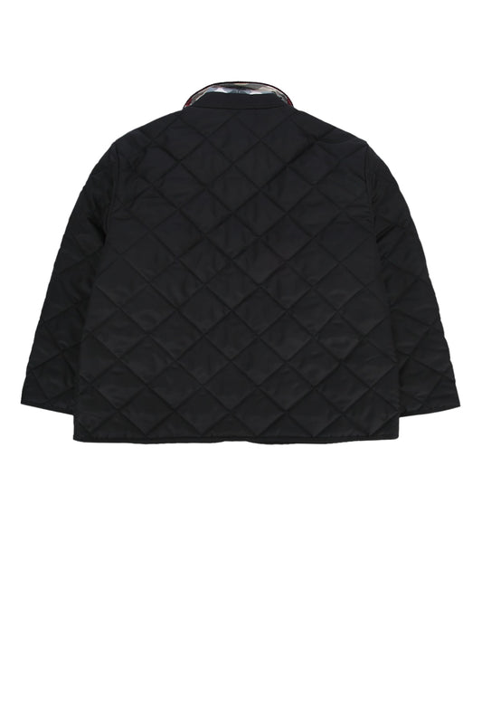 KB6_INDY_8092519_A1189_Image_2