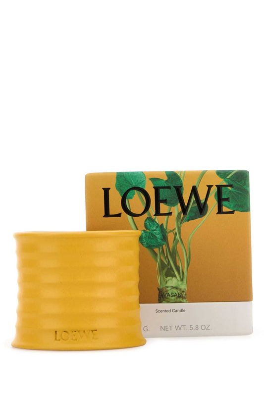 LOEWE_WASABI_CANDLE_LW81016_000_Image_2