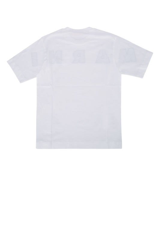 MT179U_M01265M00RFMT179U_0M100_Image_2