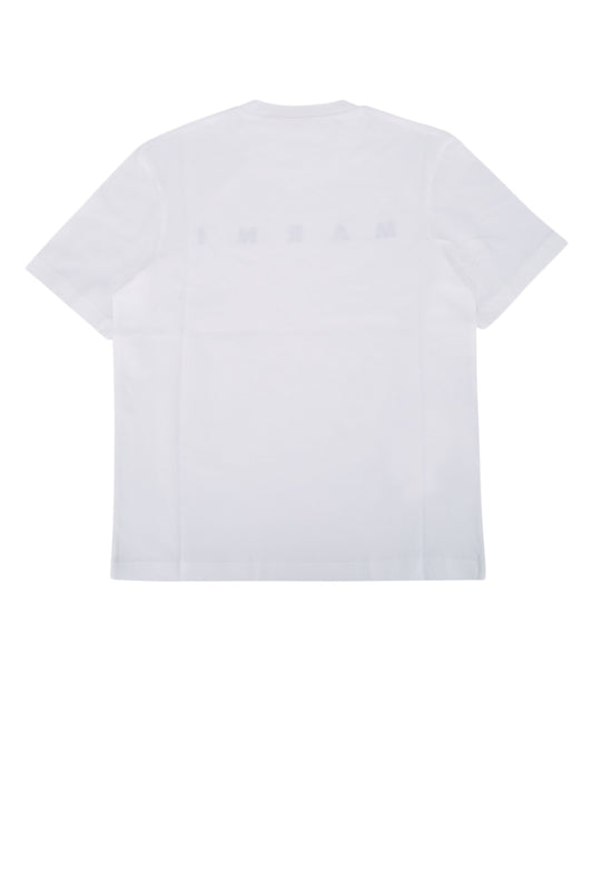 MT290F_M01601M00RFMT290F_0M100_Image_2