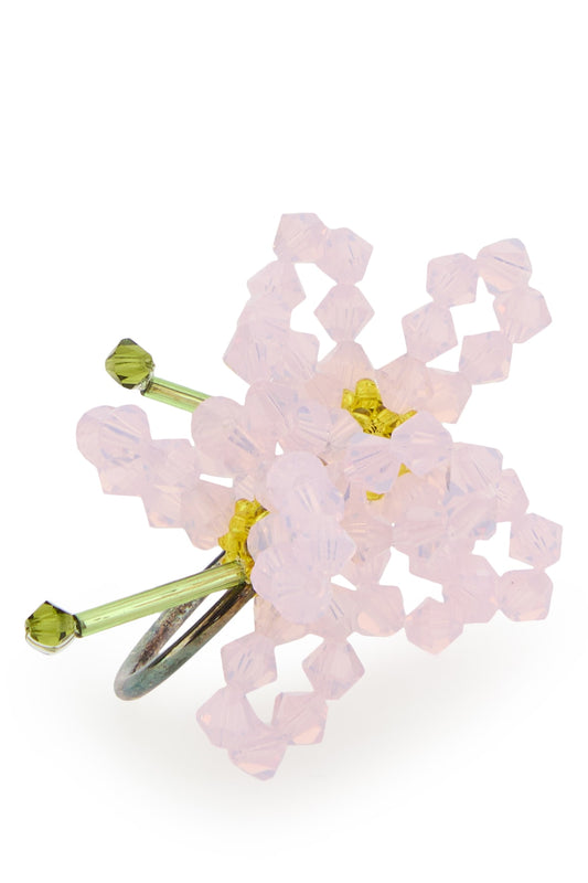 ORECCHINI_ASTERCHINENSIS_MULTI_Image_2