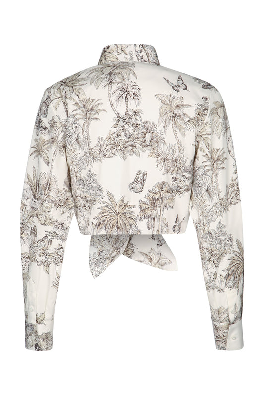 POPELINE_CO_SE_TDJ_PALMES_AO_541B64A3A91_0810_Image_2