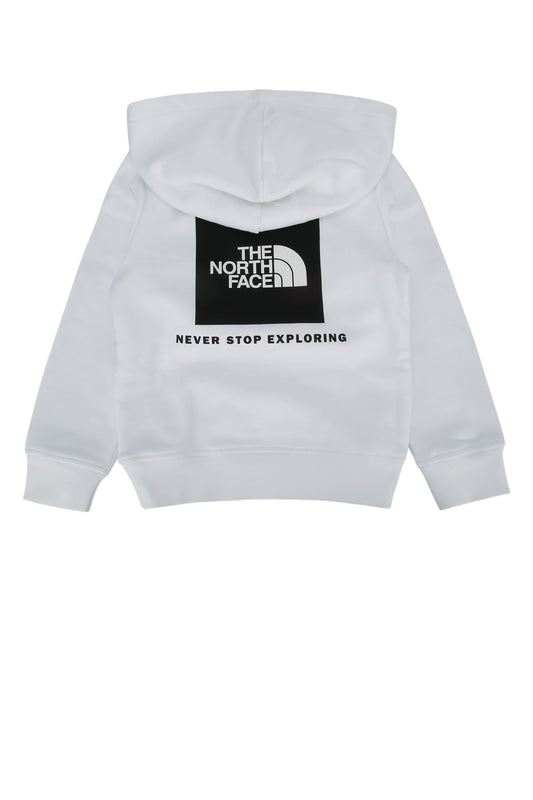 TEEN_BOX_NSE_REGULAR_PULLOVER_HOODIE_NF0A89H9_LA91_Image_2