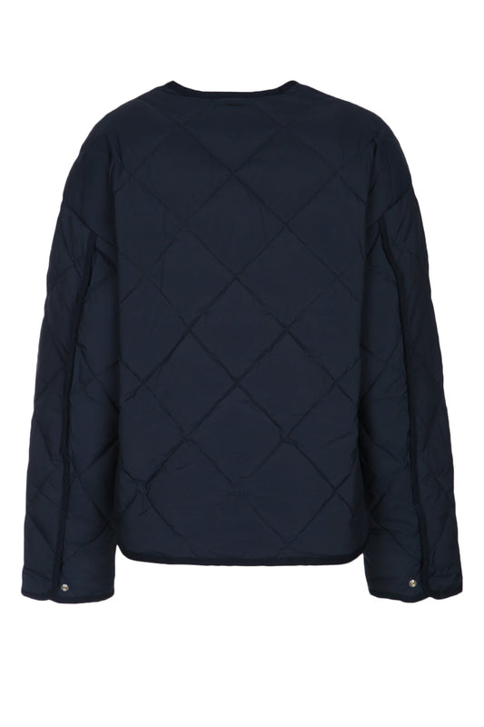 TRNSTNL_INSLTD_DWN_J_LV044C515G_CEF_Image_2