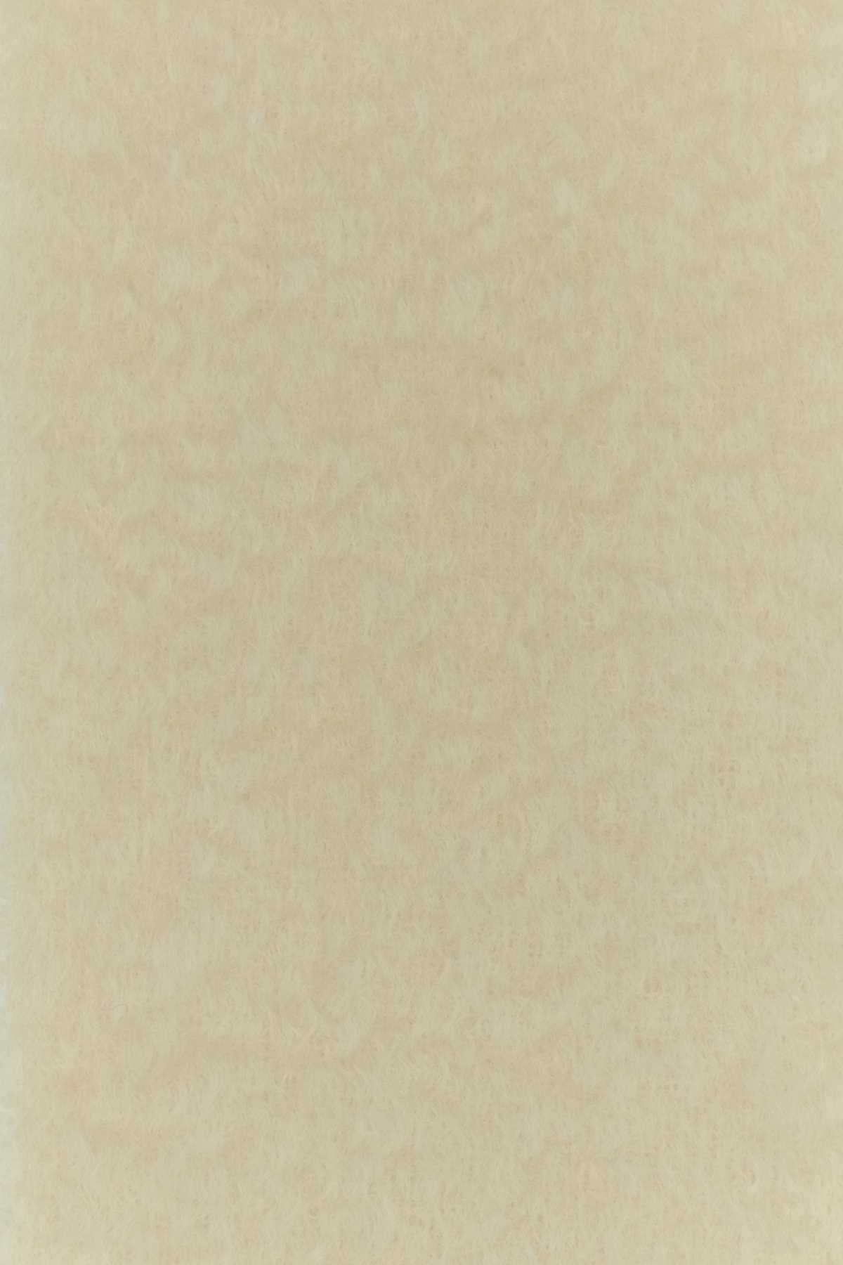 23X185_SCARF_FSA6SS1X05_WHITE_Image_3