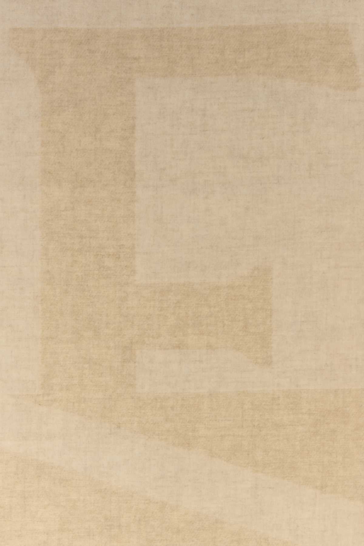30X160_LOEWE_SCARF_FSA3SS1W04_LIGHTBEIGEBEIGE_Image_3