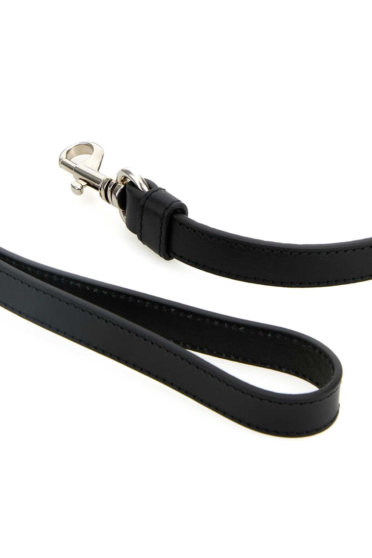 ACCESSORI_ANIMALI_2YG0092HIL_F0002_Image_3