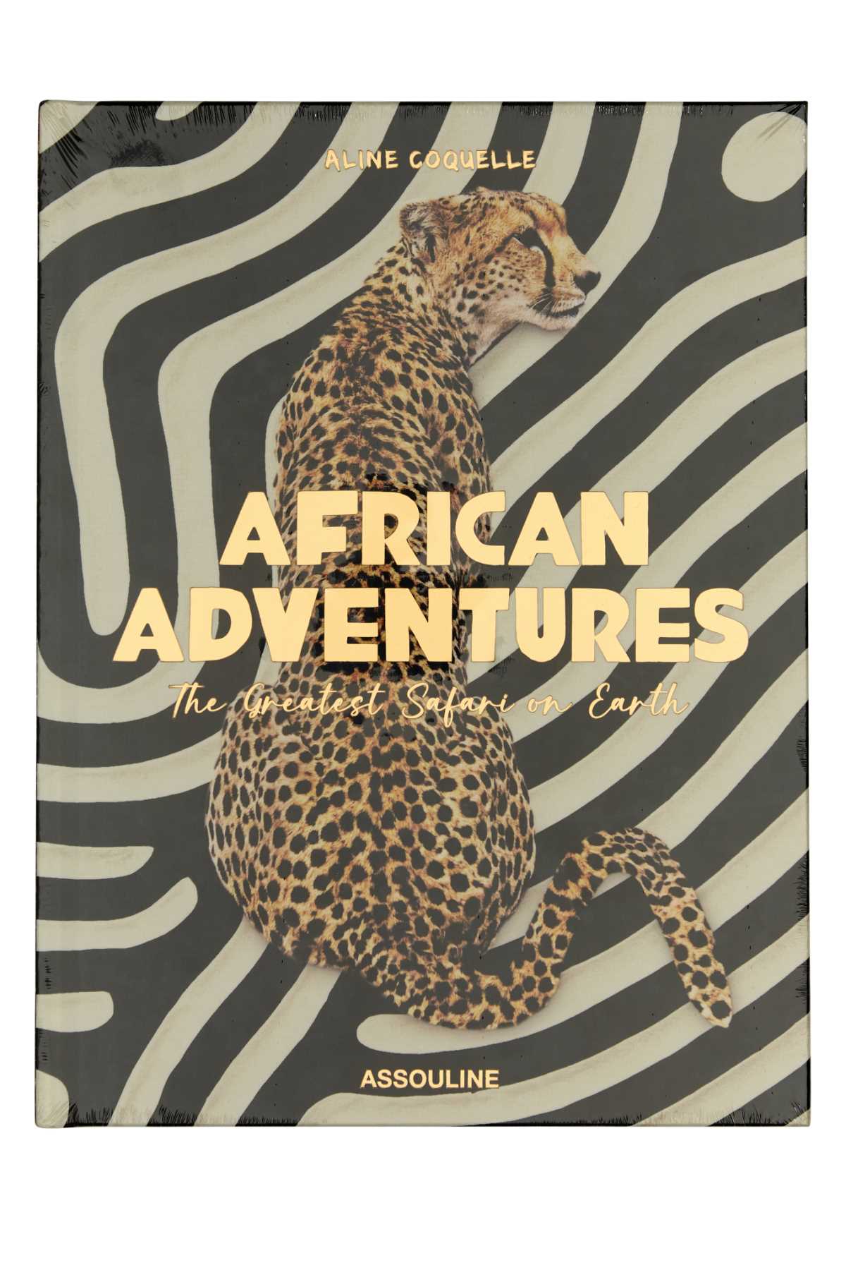 AFRICAN_ADVENTURES_9781649801999_000_Image_1