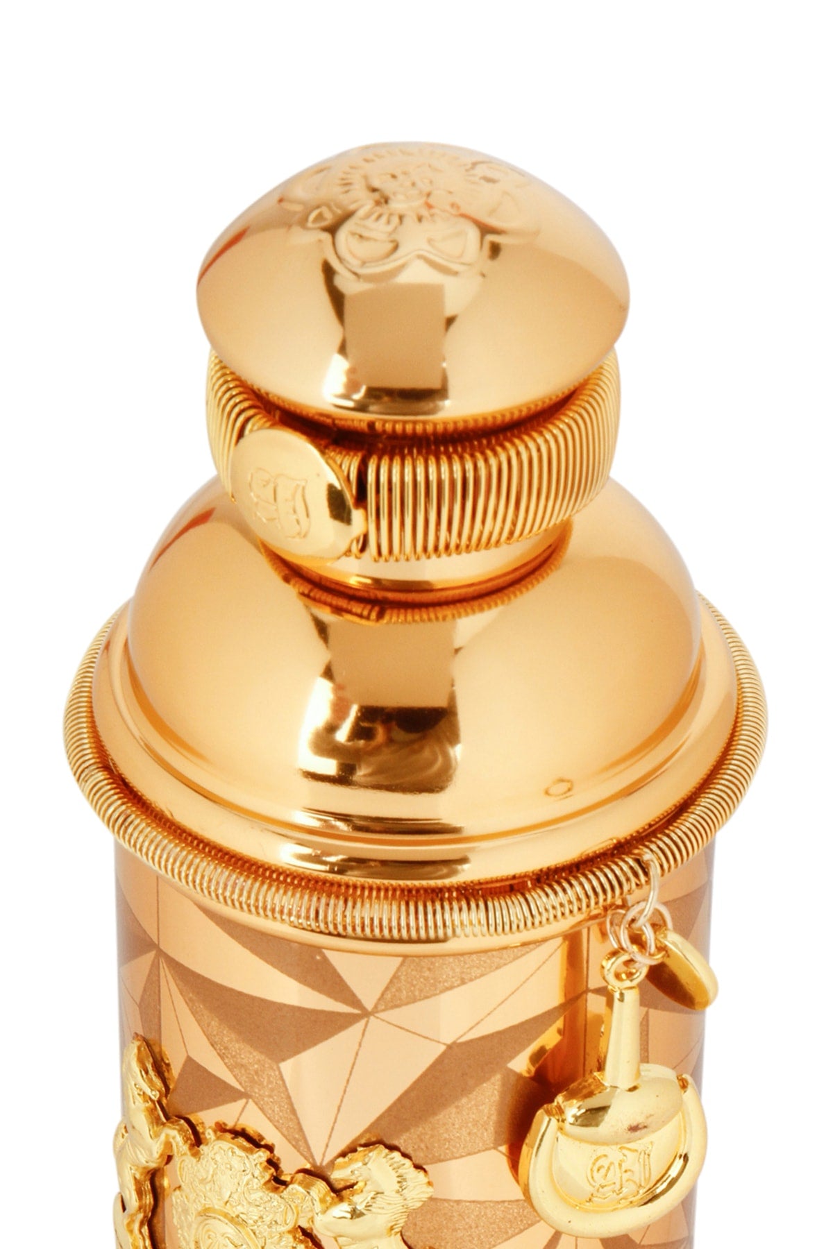 ALEXA_TC_GOLDEN_OUD_100_OCG1027_000_Image_3