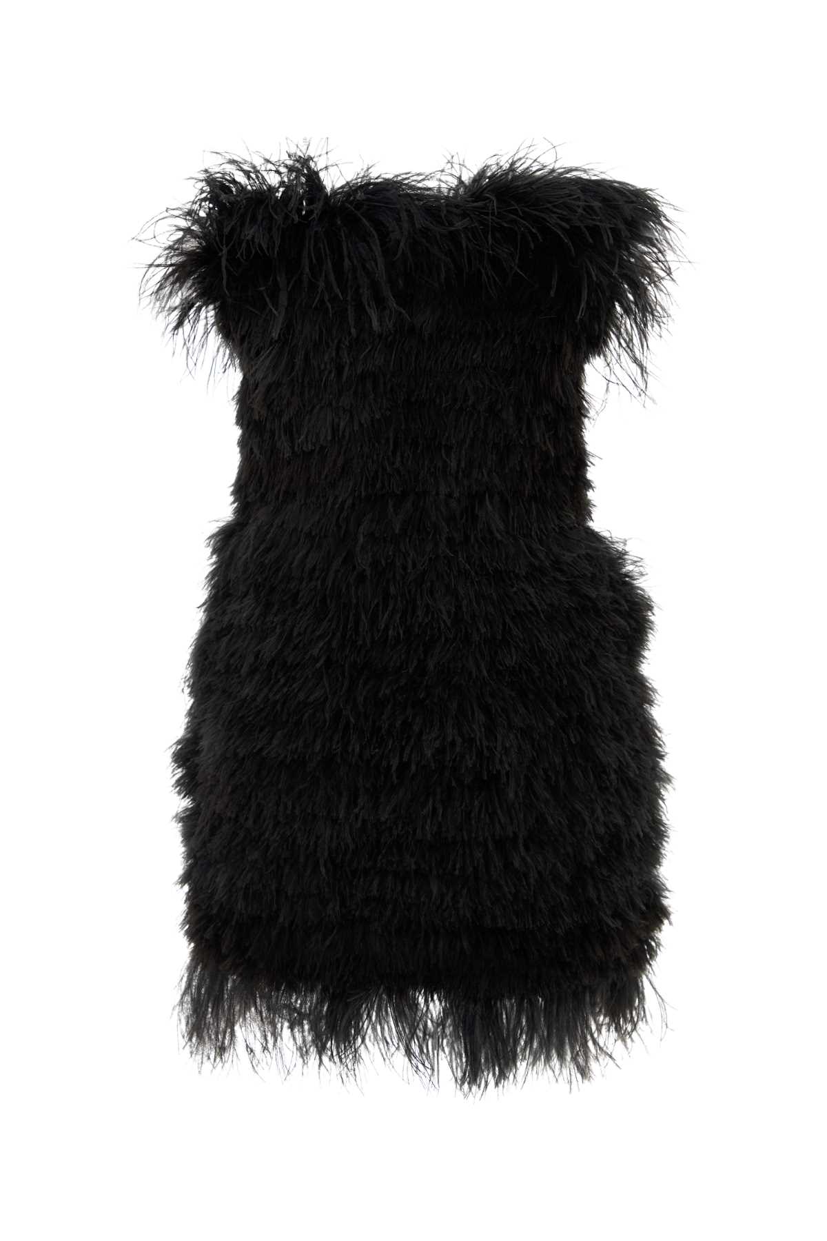 AVOCADO1234_2422226213600_002_Image_1