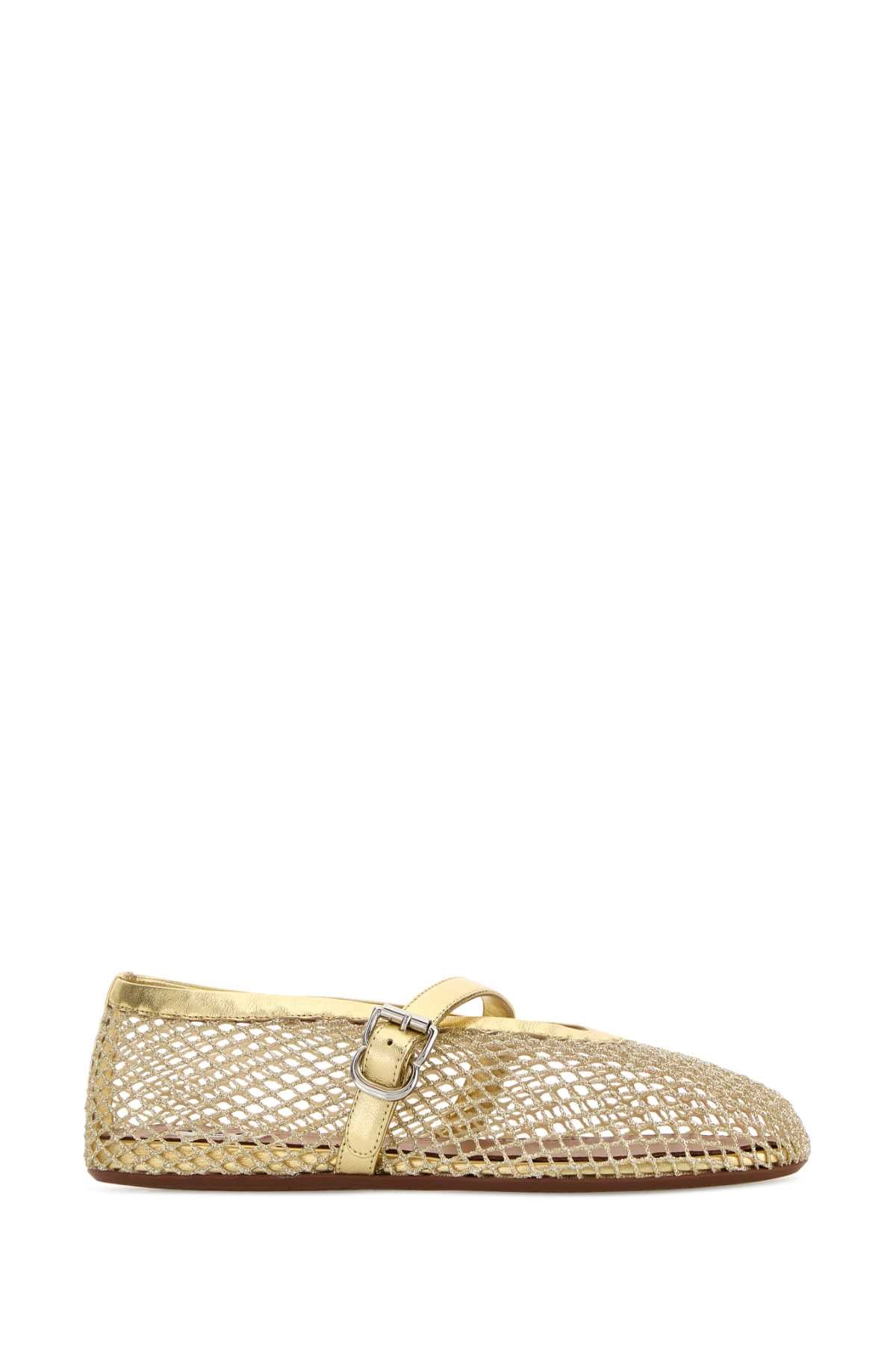 BALLET_FLATS_AA3A029TK028_240_Image_2