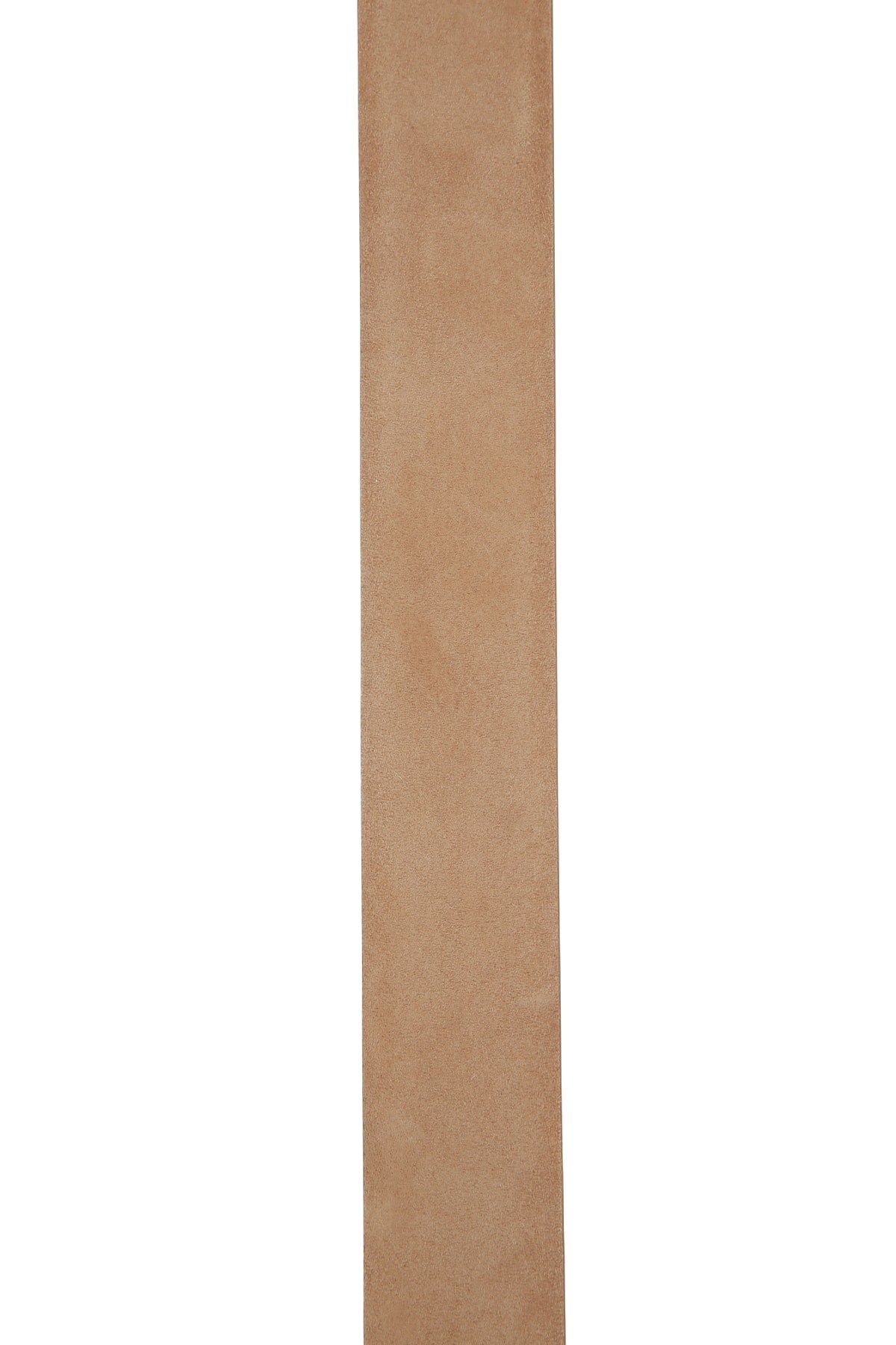 BELLE_VIVIER_TURTLE_BUCK_BELT_P30_RCWC0348101HR0_S812_Image_3