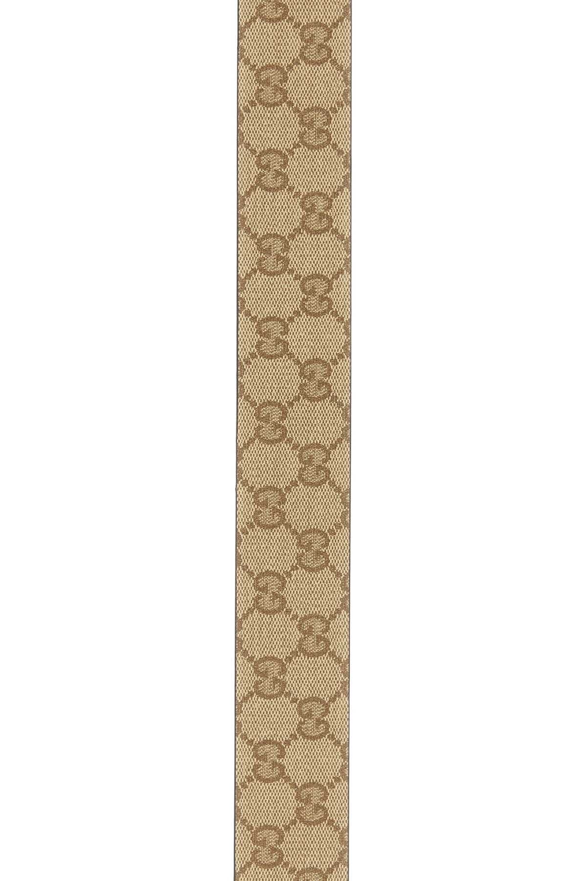 BELT_876356AAGRK_9751_Image_3