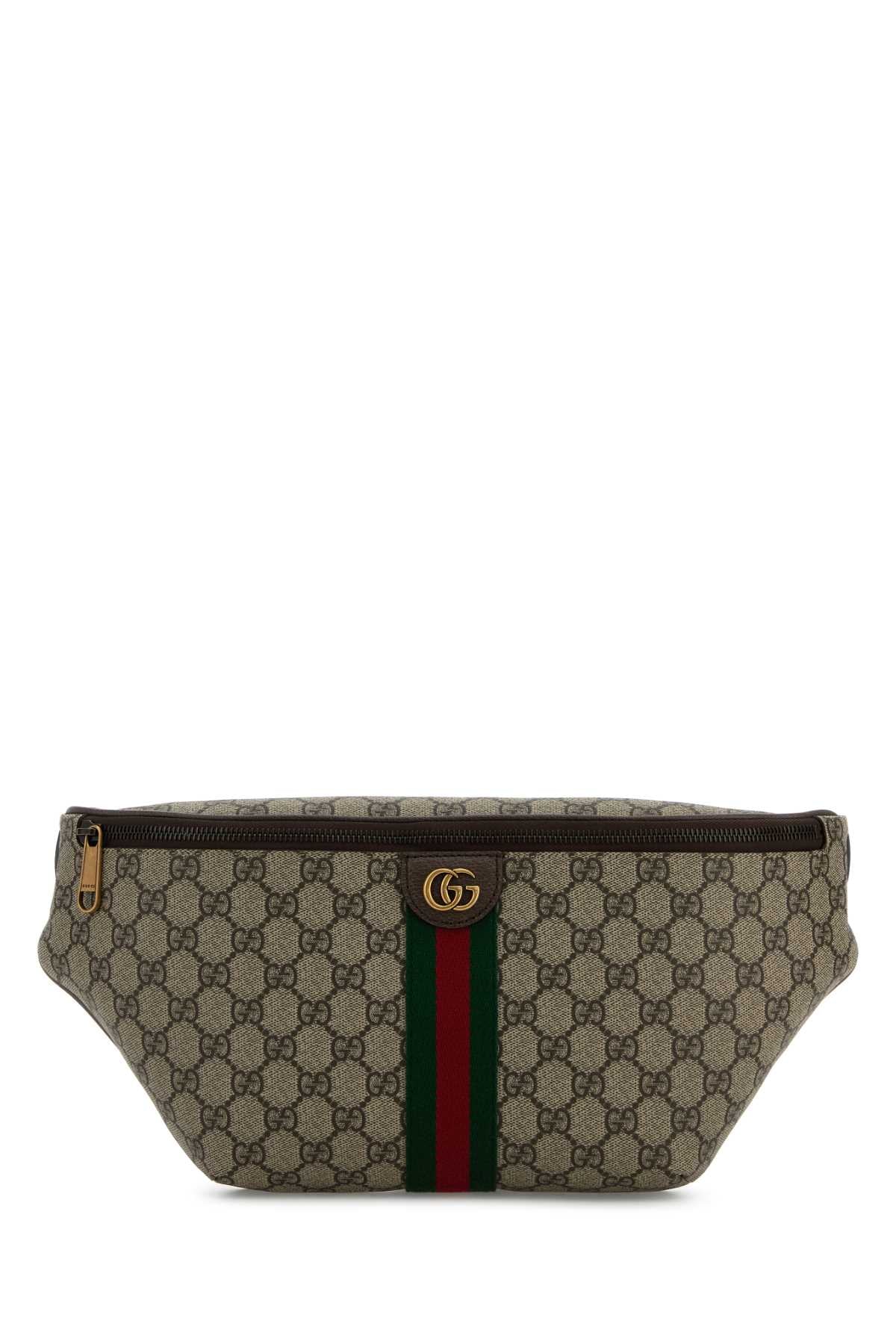 BELT_BAG_839104FAEOF_9745_Image_1