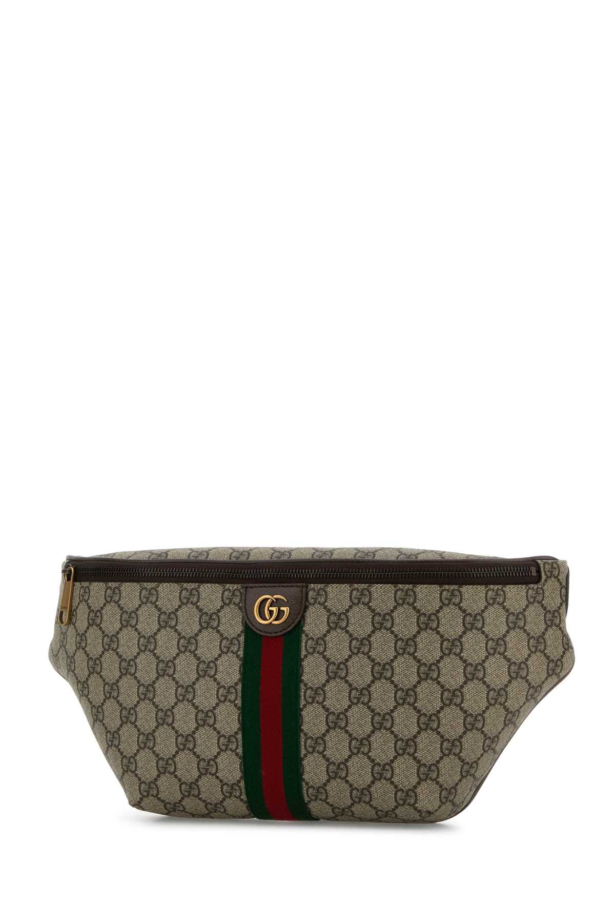 BELT_BAG_839104FAEOF_9745_Image_2