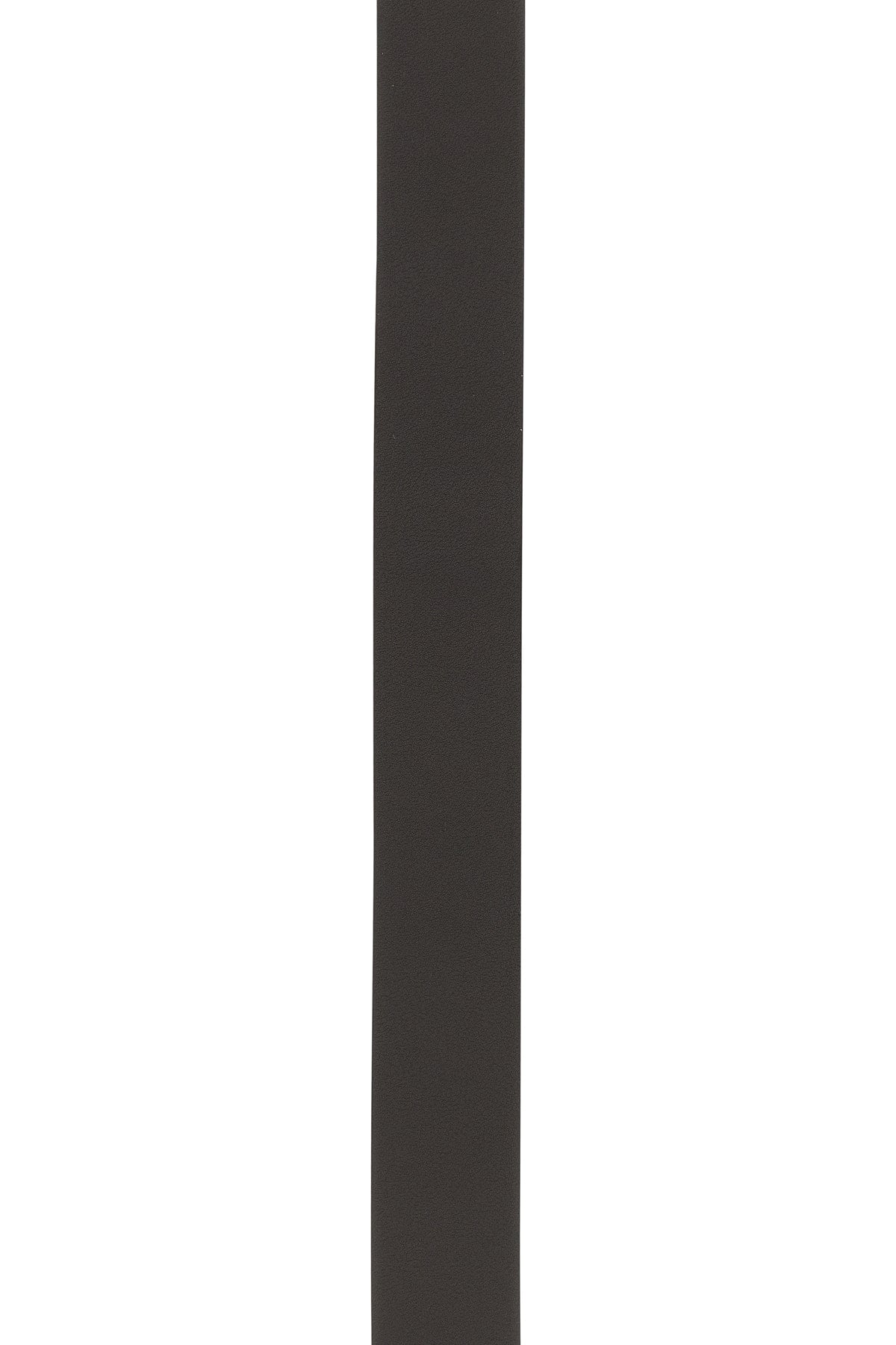 BELT_LOGO_FF_7C0488ASIW_F1Q1T_Image_3