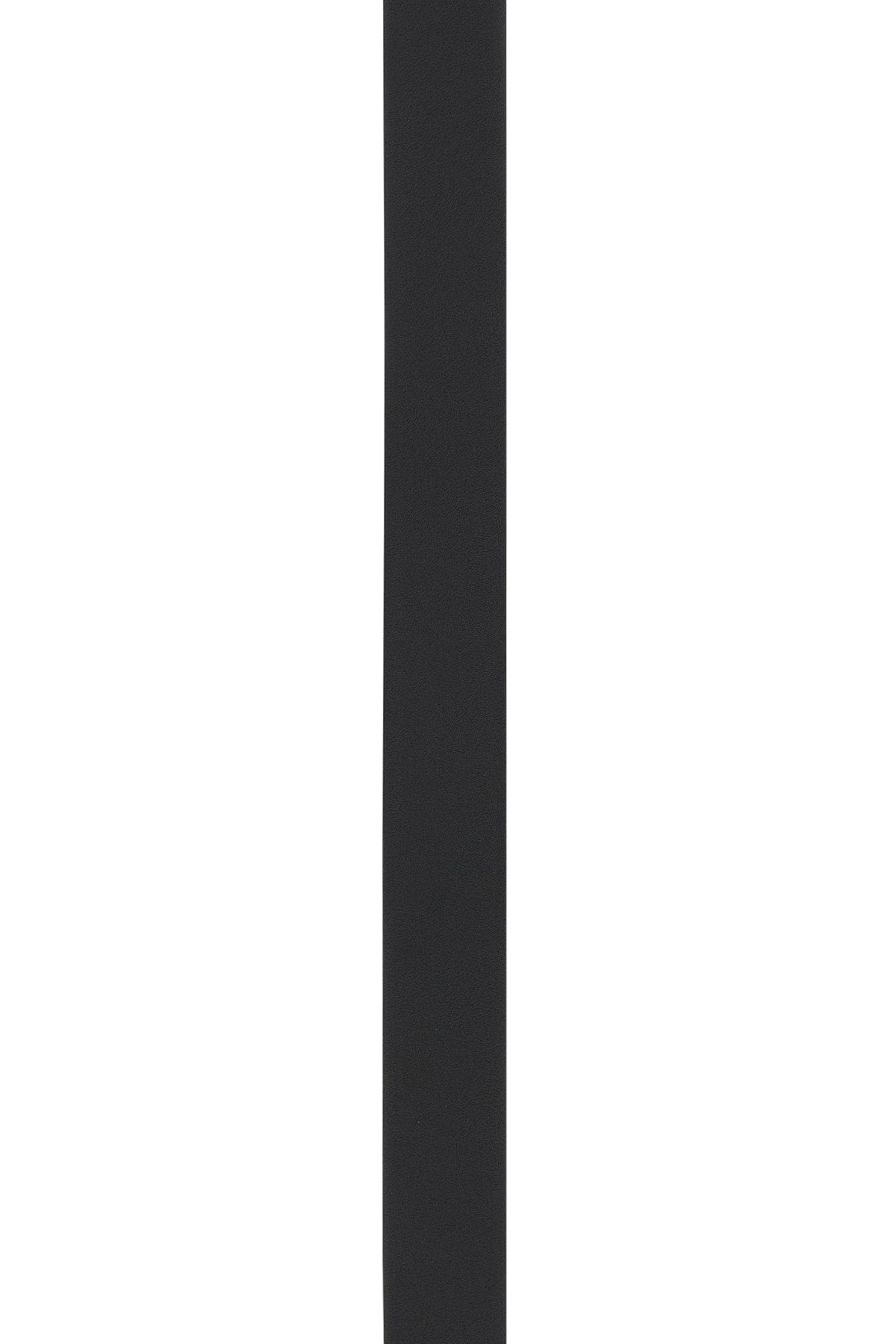 BELT_LOGO_FF_7C0488ASIW_F1Q2A_Image_3