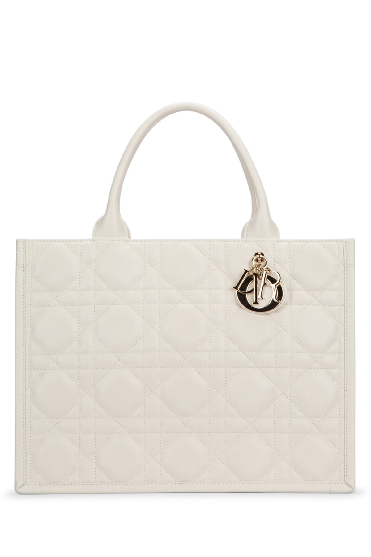 BORSA_DIOR_ALPS_M1324OWHP_030_Image_1