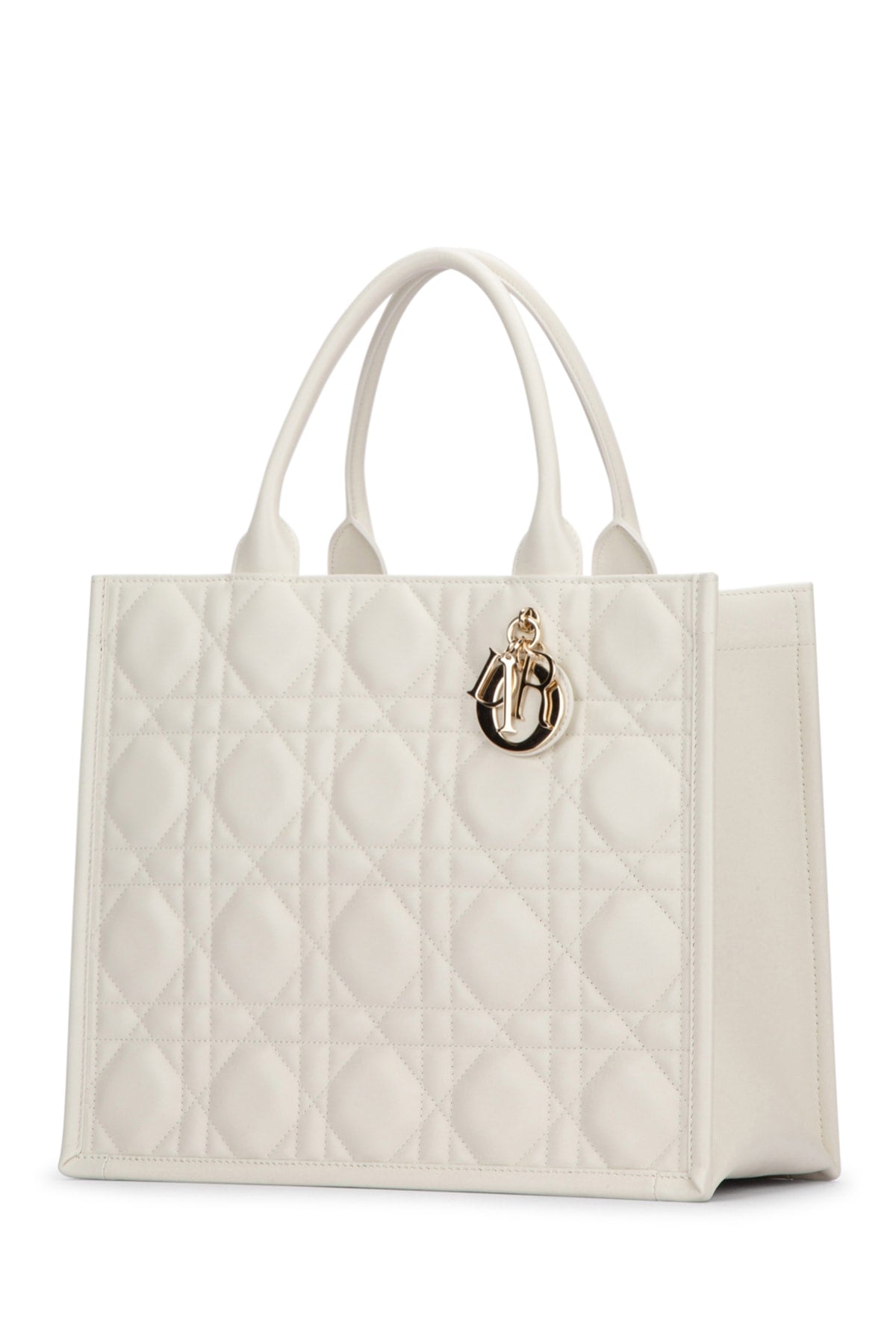 BORSA_DIOR_ALPS_M1324OWHP_030_Image_2