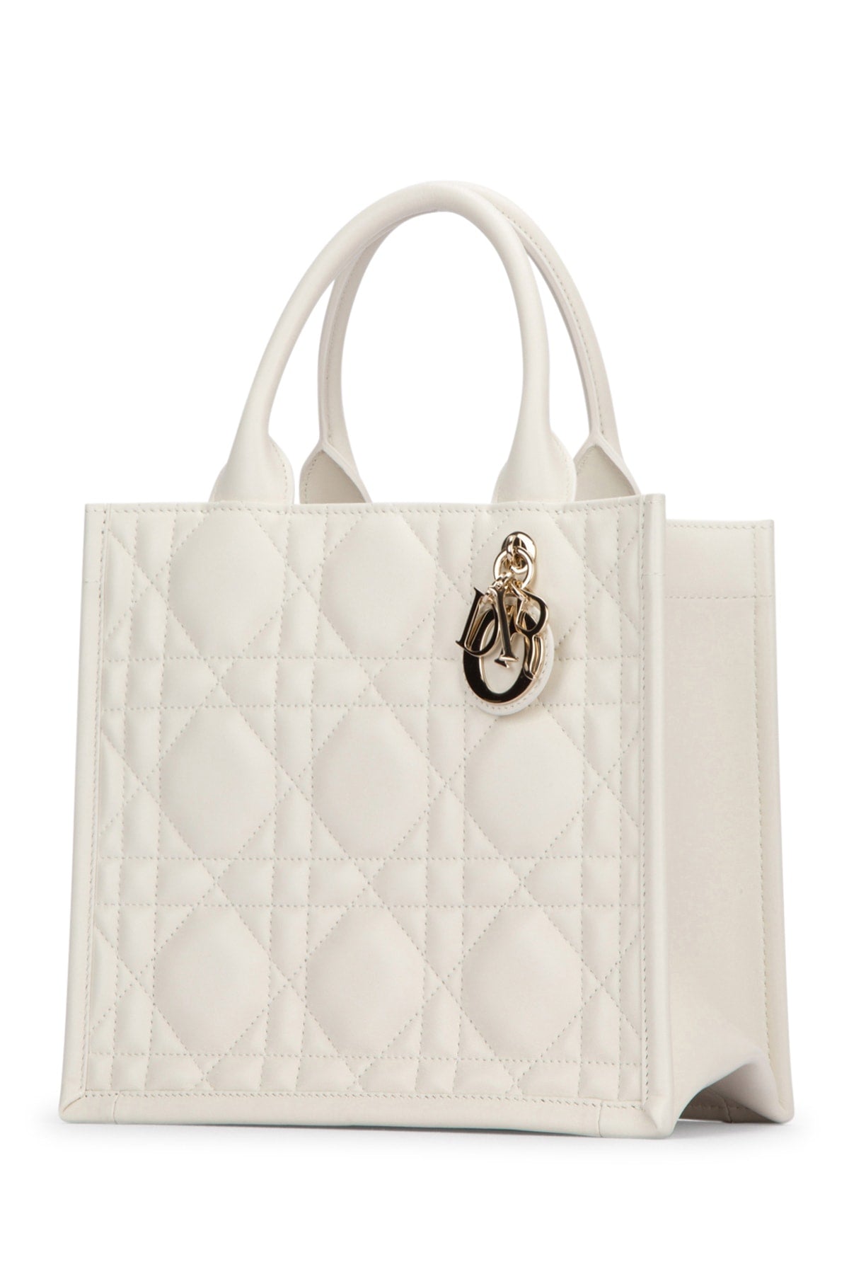 BORSA_DIOR_ALPS_M1325OWHP_030_Image_2