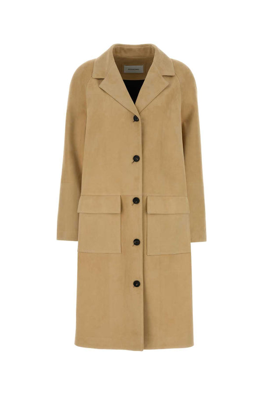 B_13I020790646_BISCUIT_Image_1