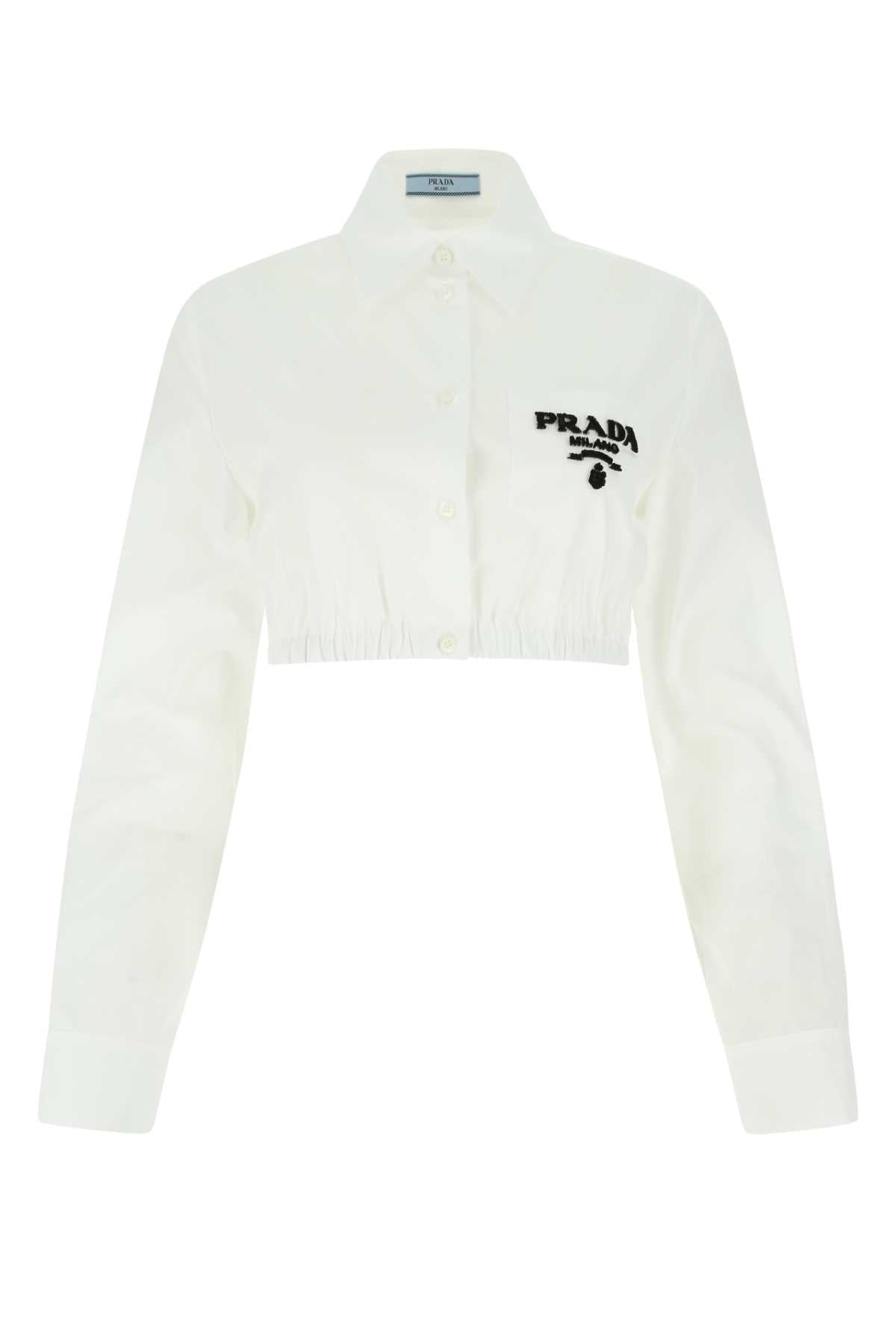 CAMICIA_P447FRS2211Z9P_F0009_Image_1