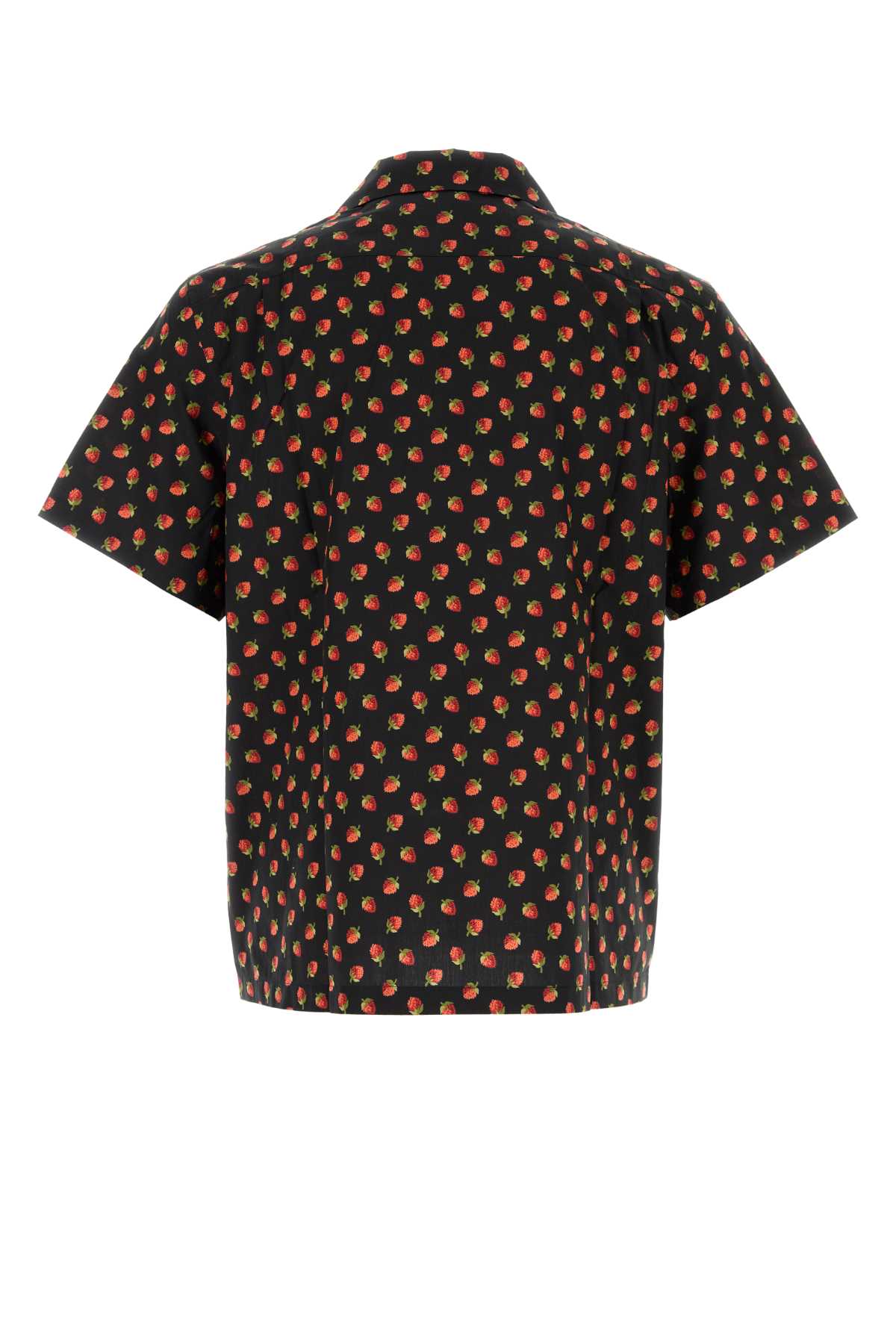 CAMICIA_SH0402PG2019_988_Image_2