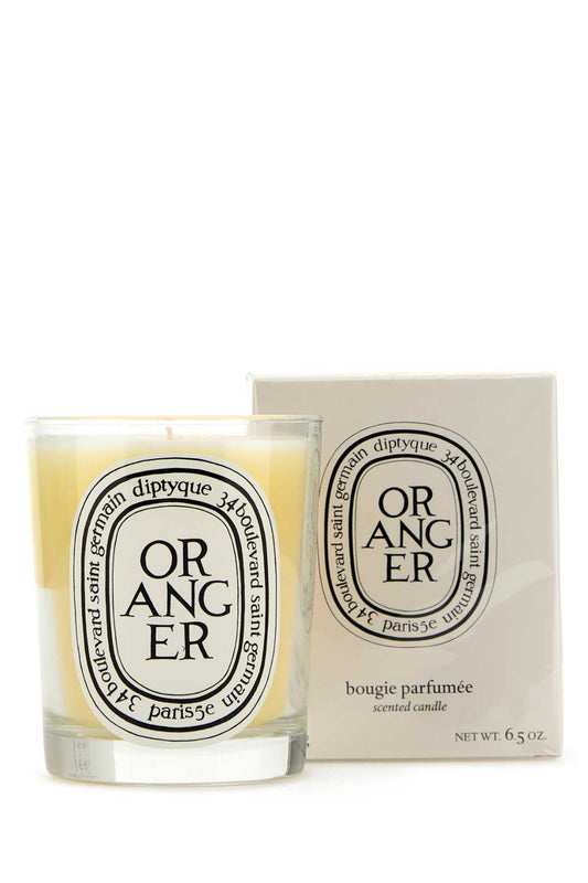 CANDELA_PROFUMATA_0DIP1BO_MULTI_Image_2