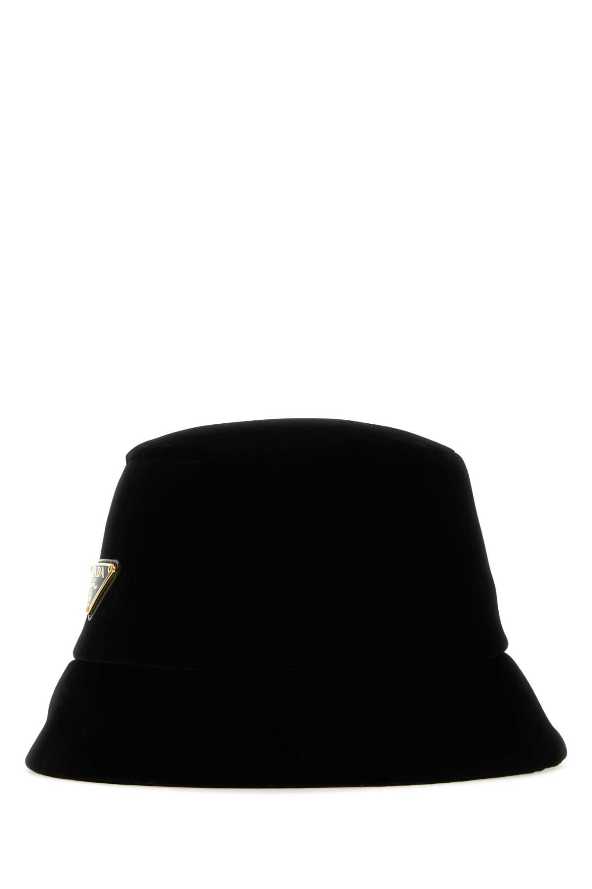 CAPPELLO_1HC137068_F0002_Image_1