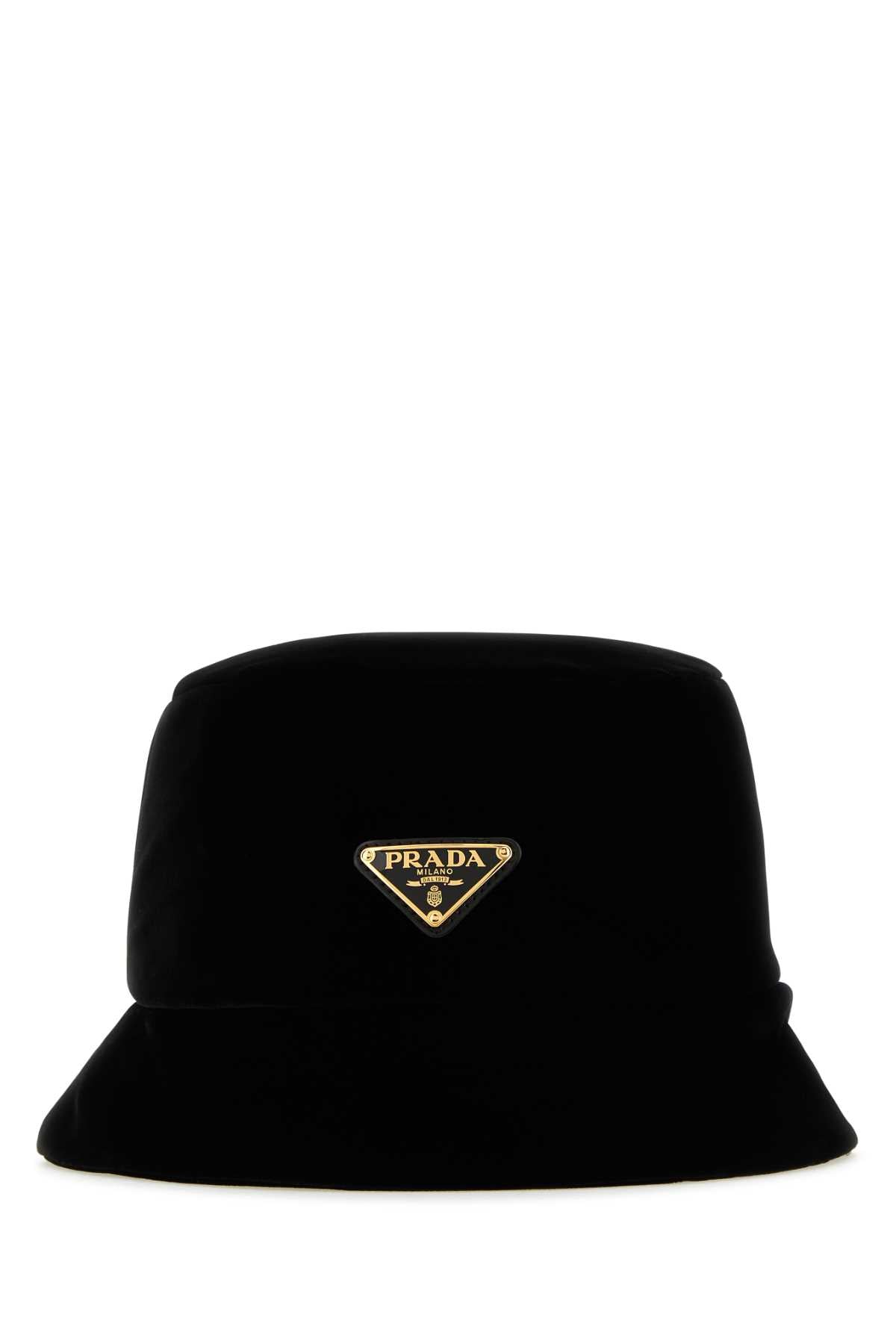 CAPPELLO_1HC137068_F0002_Image_2