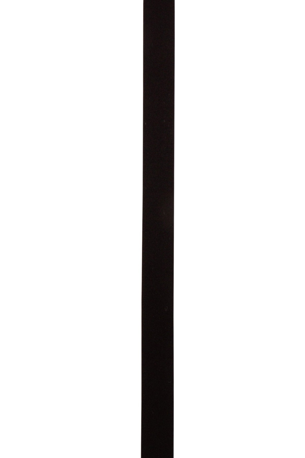 CINTURA_RCWC0AO0000RS0_B999_Image_3