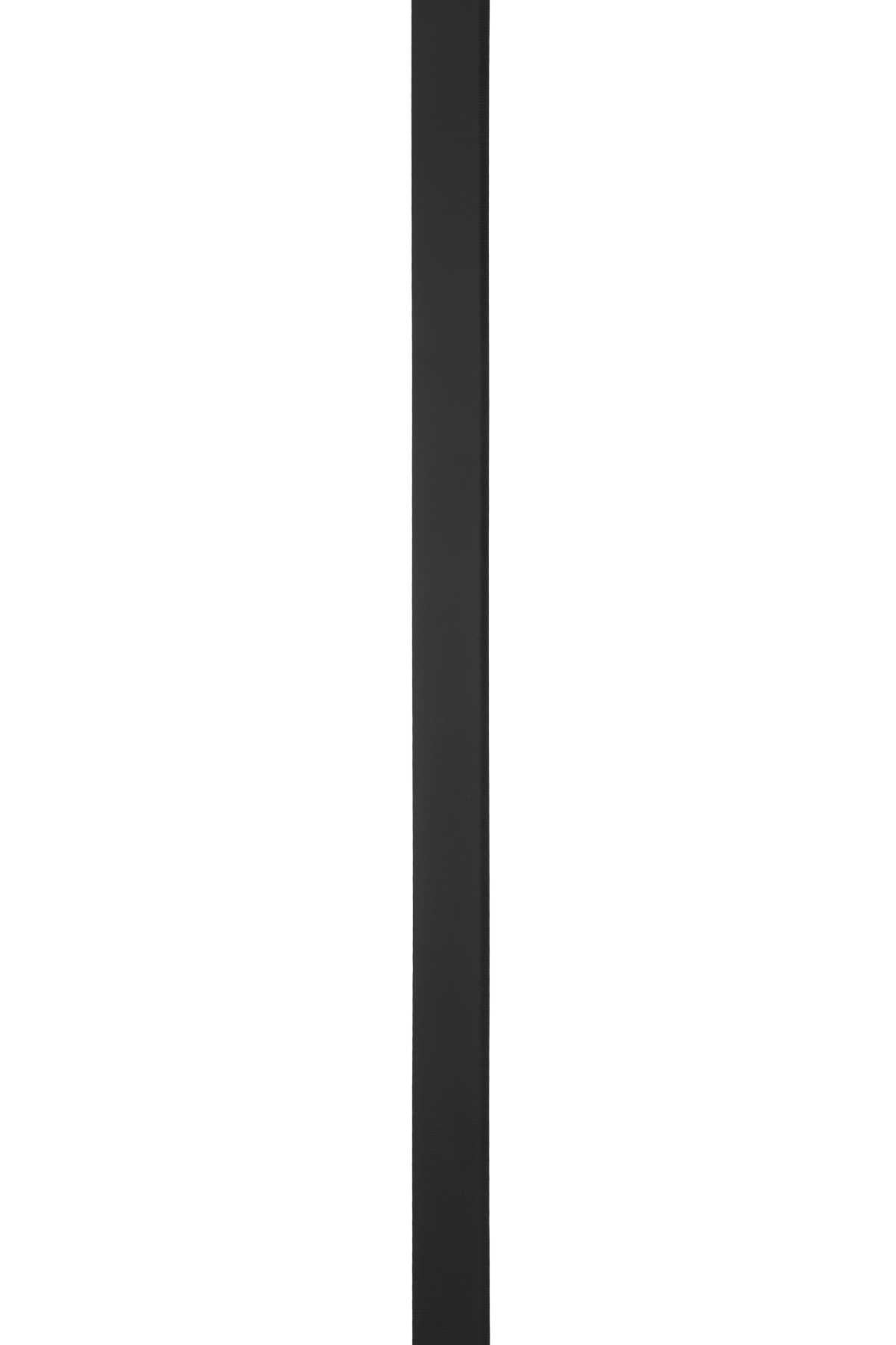 CINTURA_XY2T0Q90ECU_0NO_Image_3