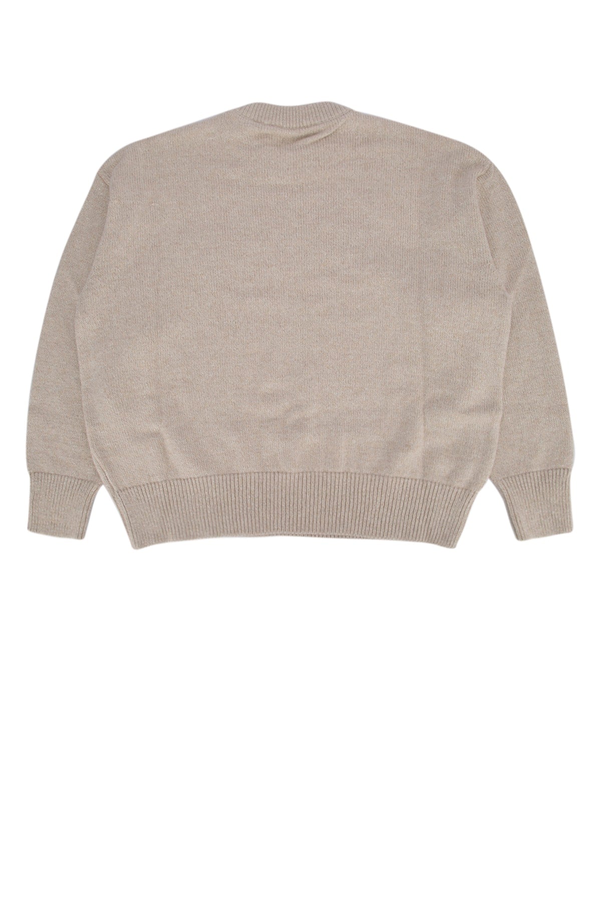 CURVED_LOGO_GLITTER_KNIT_CREW_ICE_SILVER_PGHE002F24KNI002_0572_Image_2