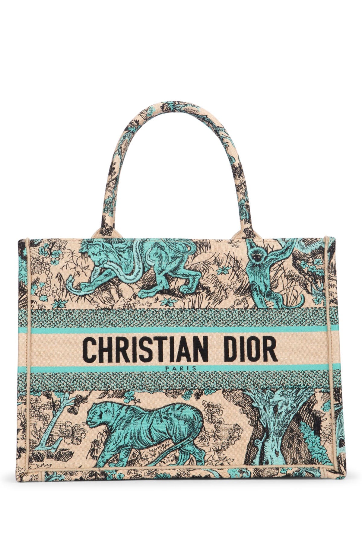 DIOR_BOOK_TOTE_M1296ZEGO_51E_Image_1