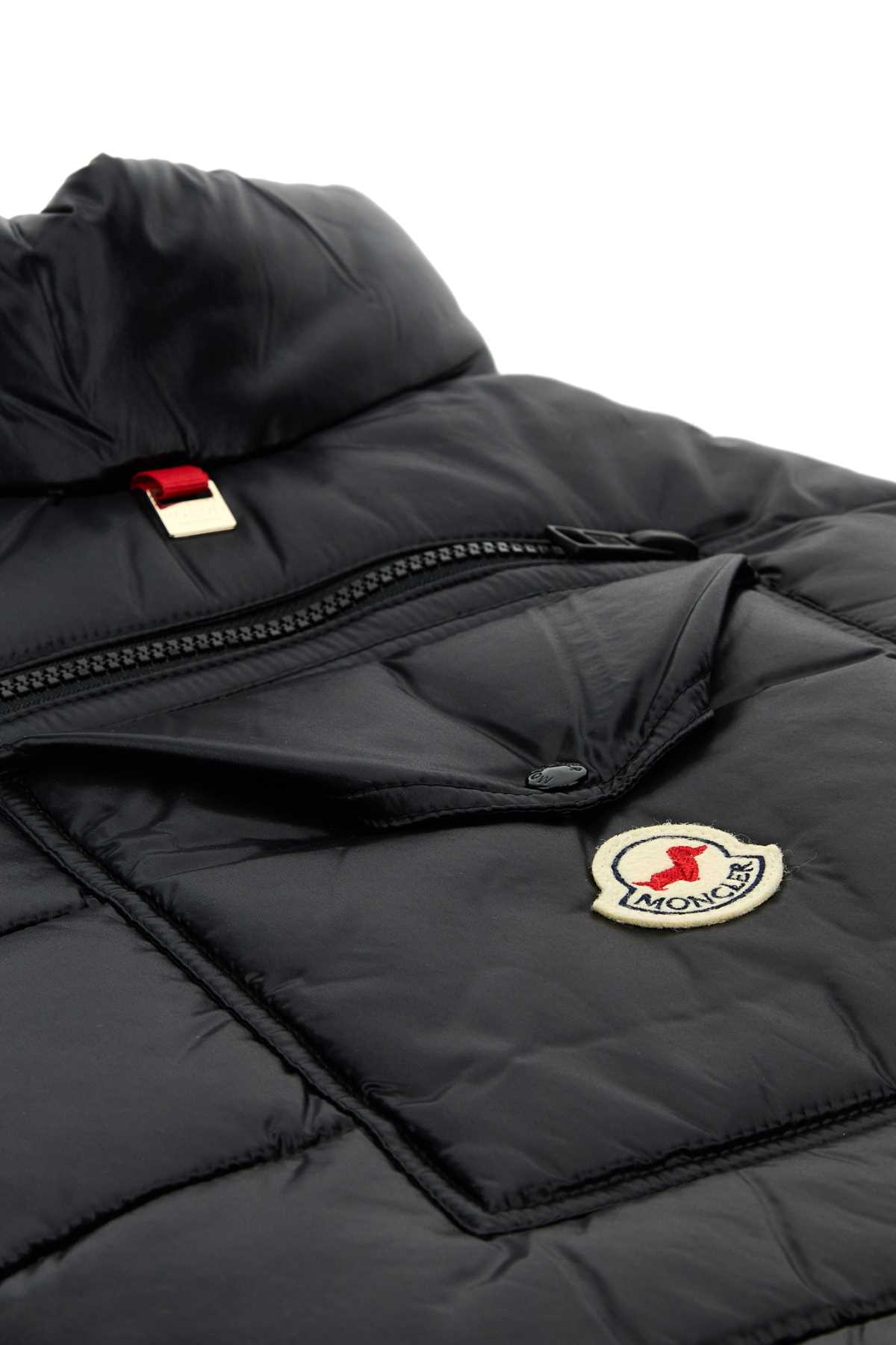 DOG_VEST_3G0000268950_999_Image_3