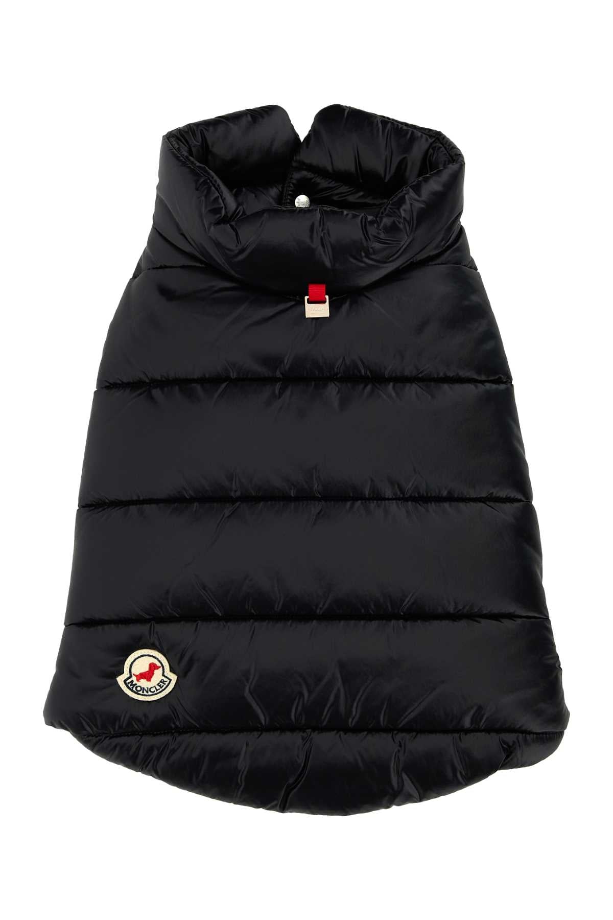 DOG_VEST_3G0002068950_999_Image_1
