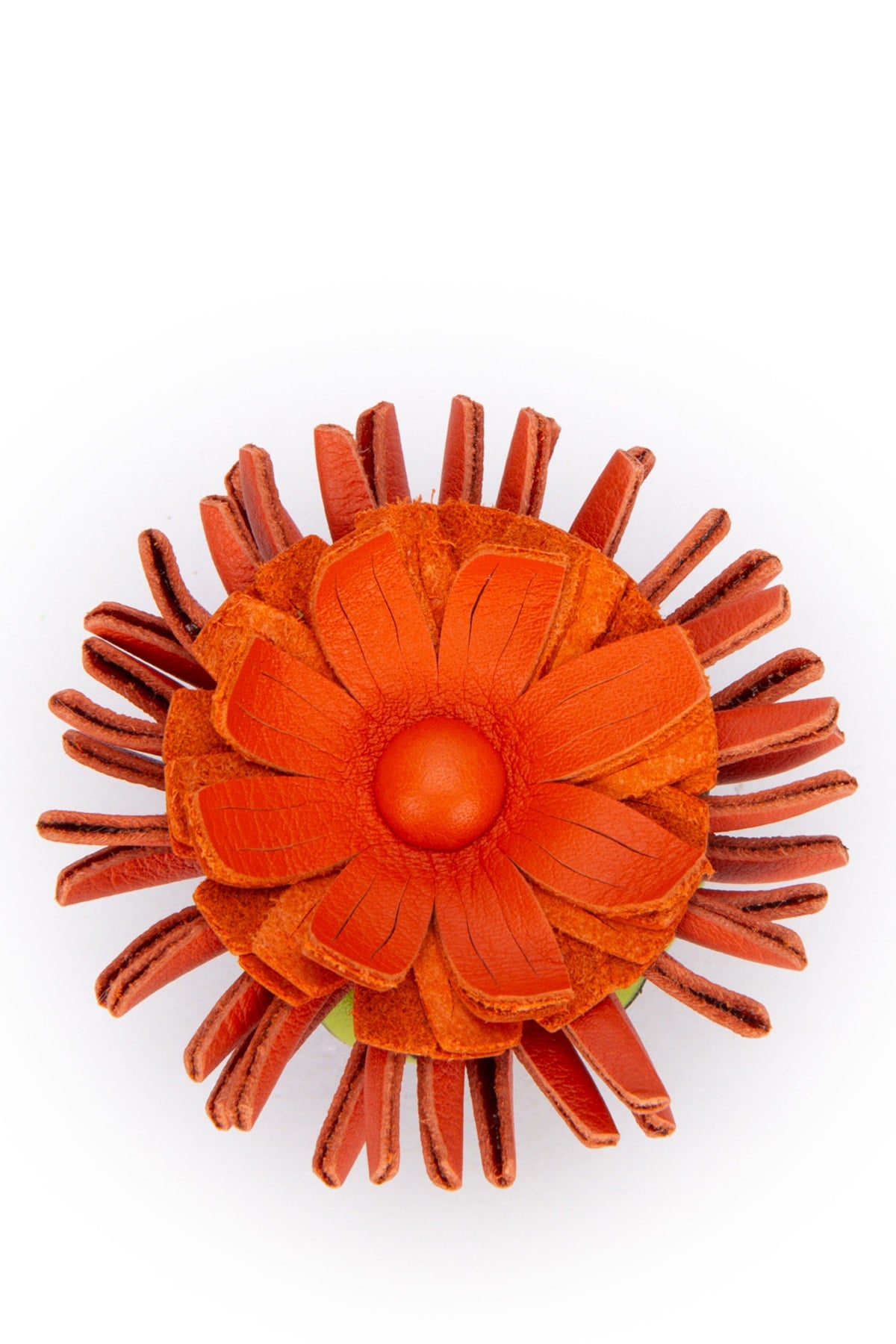 EXTRA-ACCESSORI_C835160X04_GREENCORAL_Image_1