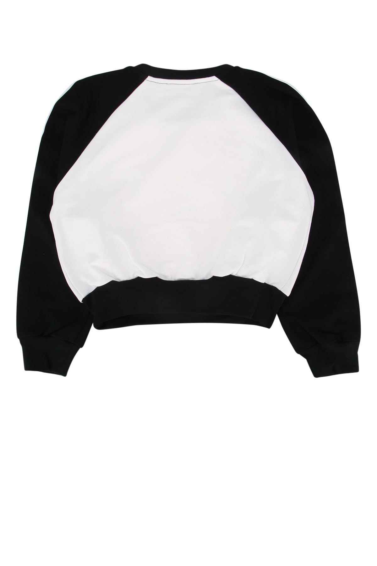 FELPA_261GJ2230_02722_Image_2