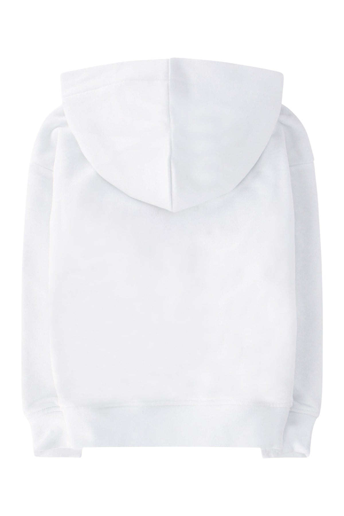 FELPA_MS027705_001_Image_2