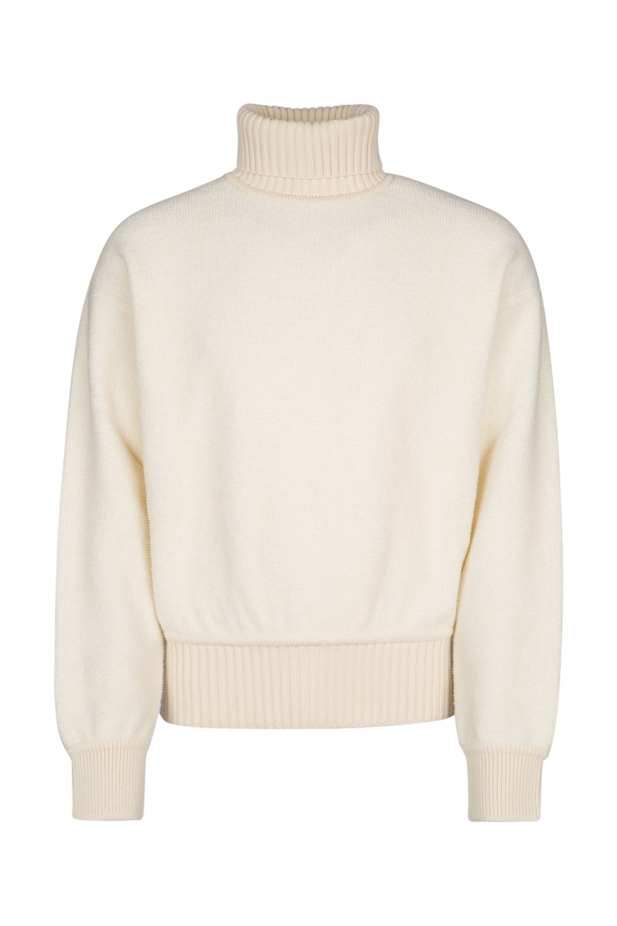 FELPA_TURTLE_COCOONING_FAO4934_1230_Image_1