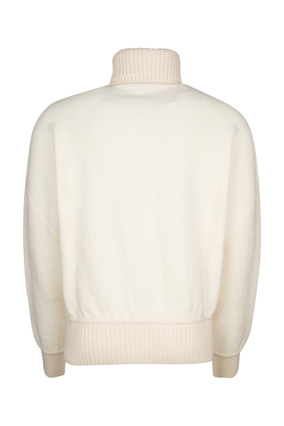 FELPA_TURTLE_COCOONING_FAO4934_1230_Image_2