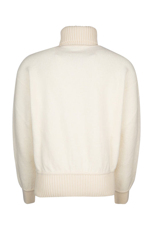 FELPA_TURTLE_COCOONING_FAO4934_1230_Image_2