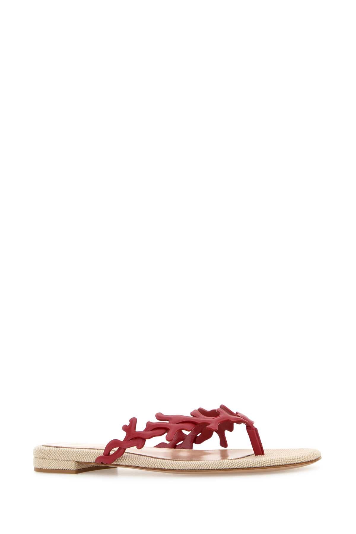 G10134_NAPPAPAROS_G1013405RICNP1_TBNA_Image_2