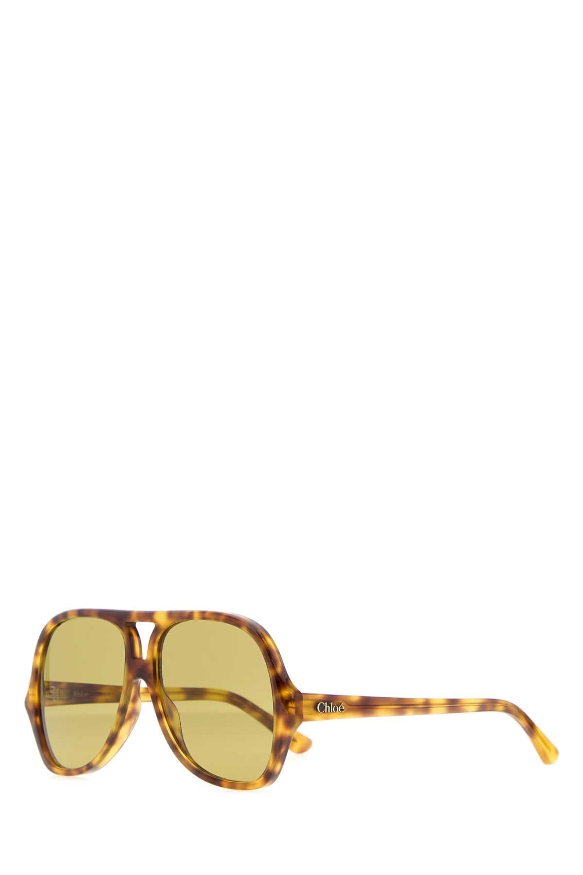 GLASSES_CH0289S00358_BROWN_Image_1