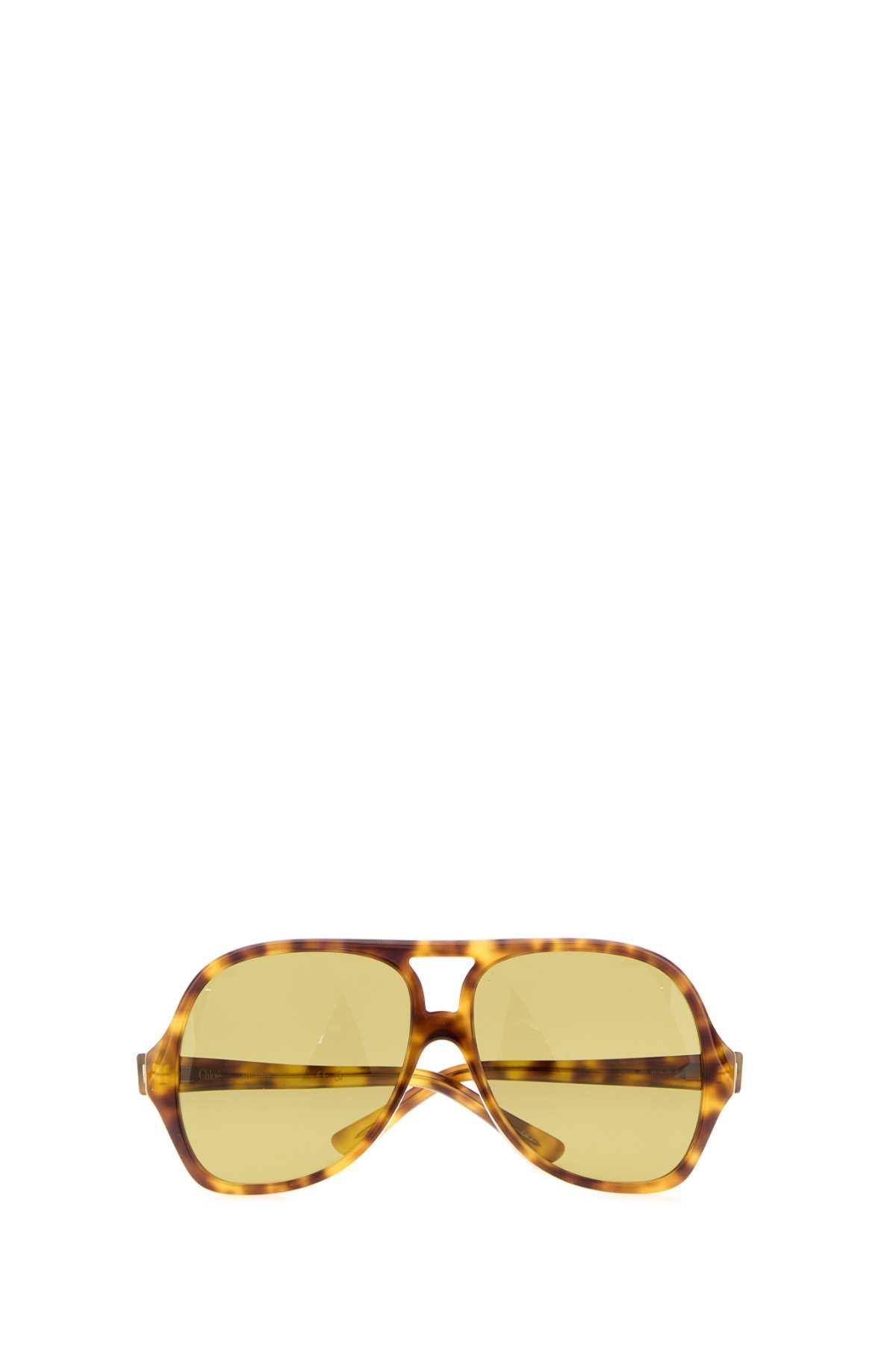 GLASSES_CH0289S00358_BROWN_Image_2