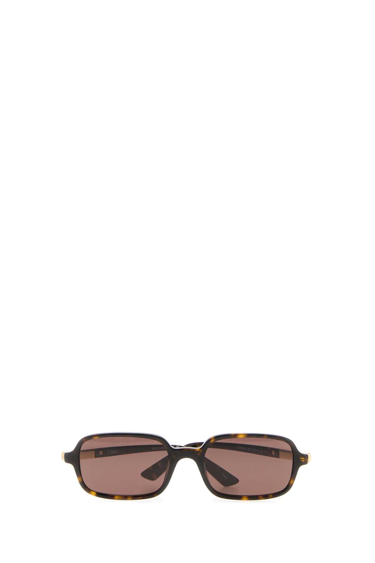 GLASSES_CH0363S00253_BROWN_Image_2