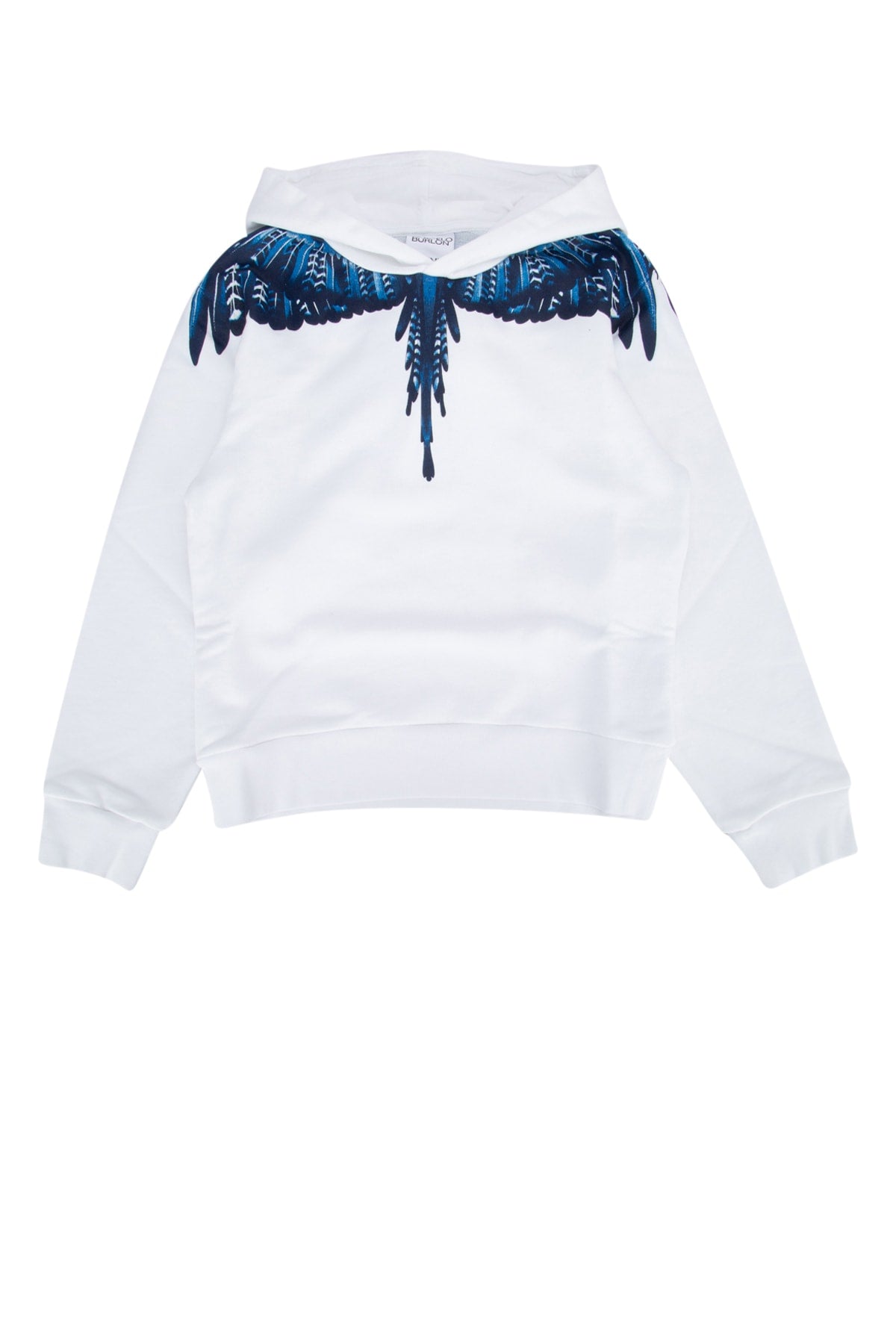 GRIZZLY_WINGS_REGULAR_HOODIE_WHITE_BLUE_CBBB001F24FLE002_0145_Image_1