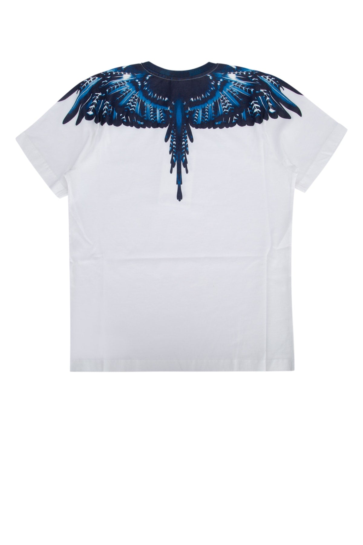 GRIZZLY_WINGS_REGULAR_T-SHIRT_WHITE_BLUE_CBAA001F24JER002_0145_Image_2